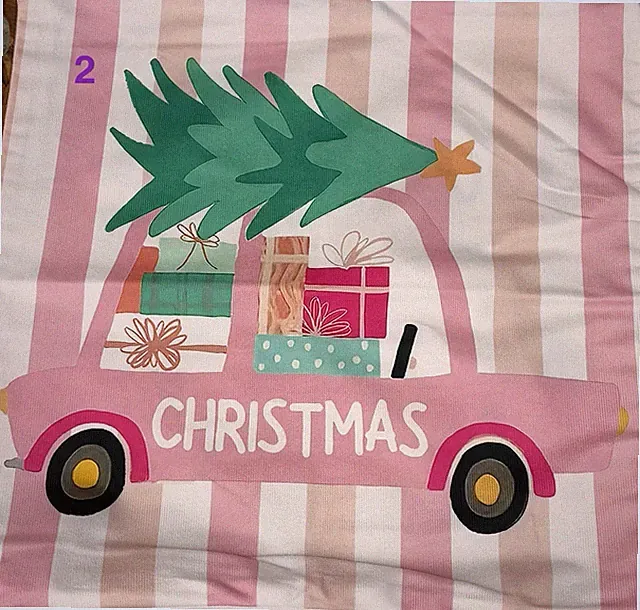 2 Left/Christmas/Hello Winter Pillowcases 17” Square (Your Choice of 1)