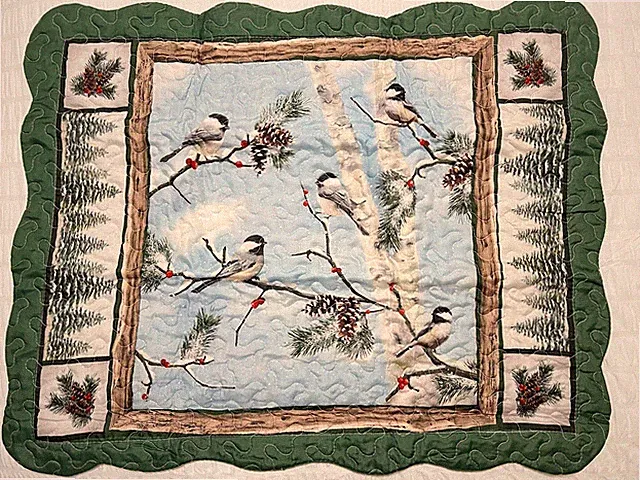 2 Winter Chickadee Pillow Sham Quilted Woodland Birds Pine Cones Trees Set Of 2