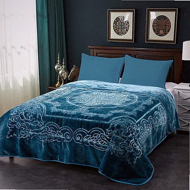Thick Rachel Korean Mink Heavy Blanket Bed for Autumn Winter King/Queen Size 9lb